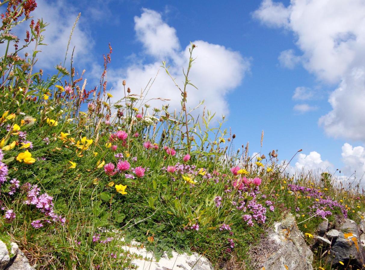 Meadow Cottage Belmullet ภายนอก รูปภาพ